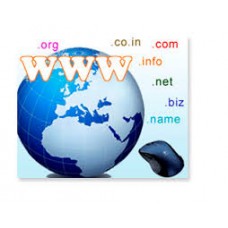 .in  Domain Registration / Renewal
