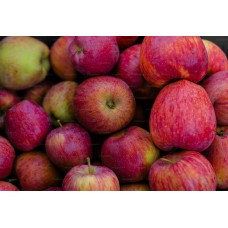 Apple सेब