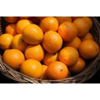 Orange संतरा Orange संतरा
