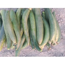 Ridge Gourd नेनुआ