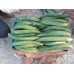 Ridge Gourd नेनुआ Ridge Gourd नेनुआ
