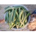Ridge Gourd नेनुआ Ridge Gourd नेनुआ