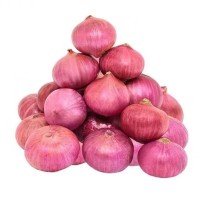 Onion प्याज Onion प्याज