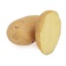 Potato आलू