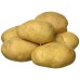 Potato आलू